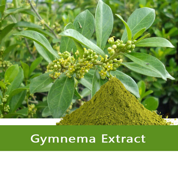 Gymnema Extract - Vriksha Life Sciences gymnema extract