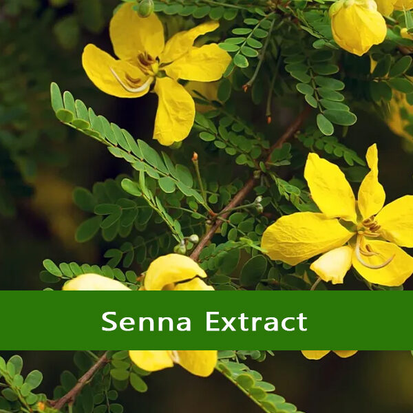 Senna Extract - Vriksha Life Sciences Senna Extract