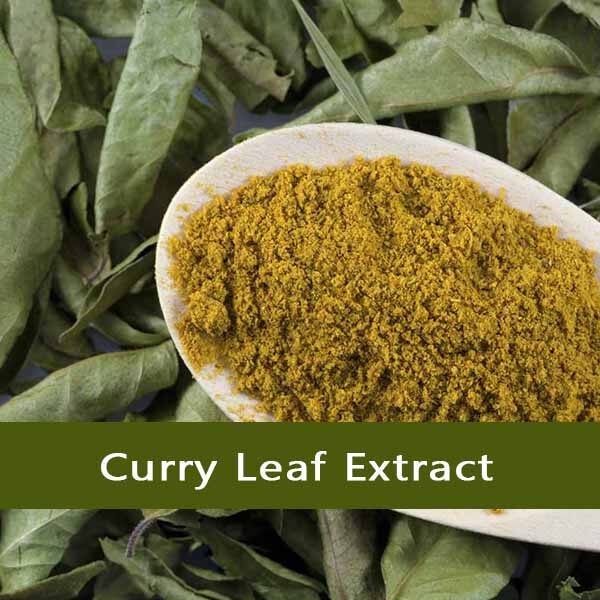 Curry Leaf Extract - Vriksha Life Sciences Curry Leaf Extract
