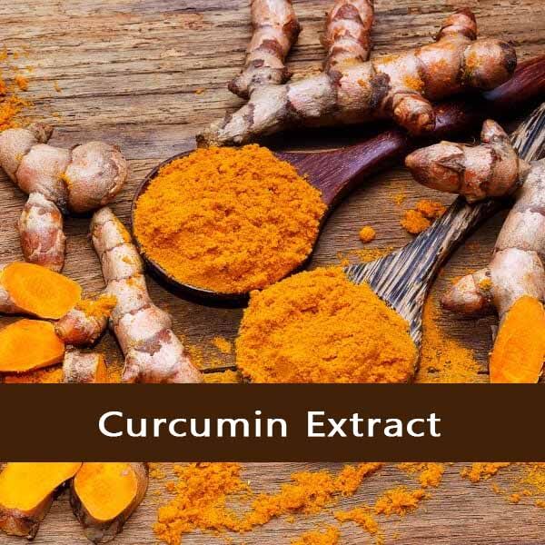 curcumin extract - Vriksha Life Sciences curcumin extract