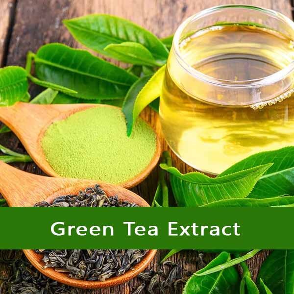 green tea extract - Vriksha Life Sciences green-tea-extract