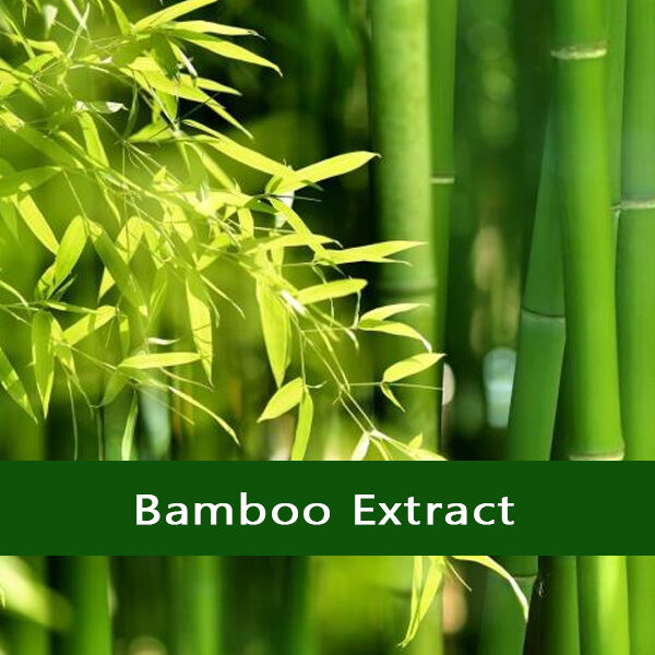 Bamboo Extract - Vriksha Life Sciences Bamboo-Extract