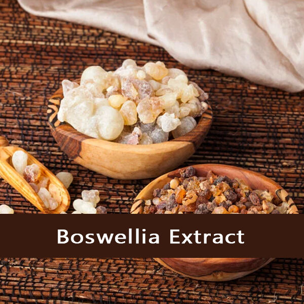 Boswellia Extract - Vriksha Life Sciences Boswellia-Extract